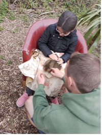 Learners from Orchard Education working with the Eco Centre in Skegness during their PLP.